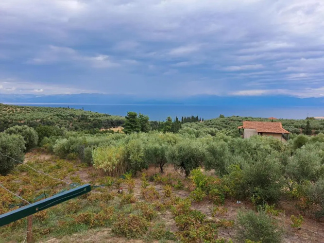 FILOXENIA Studio 7