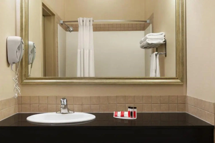 Deluxe Double Suite