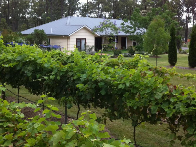 Rosedale Bed and Breakfast