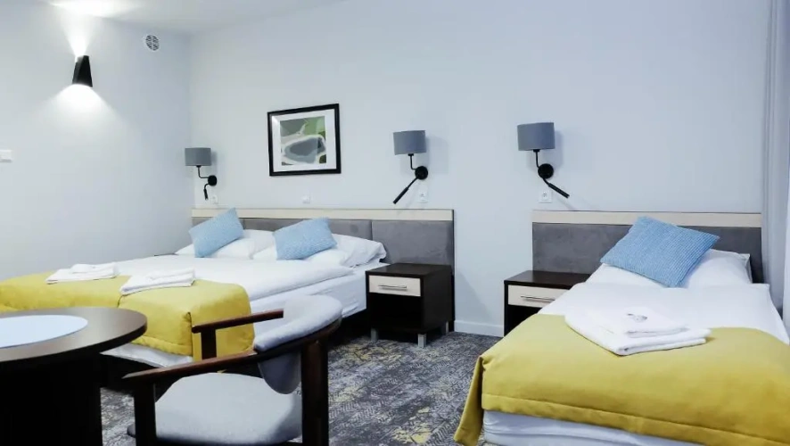 Standard Single room with balcony and with mountain view