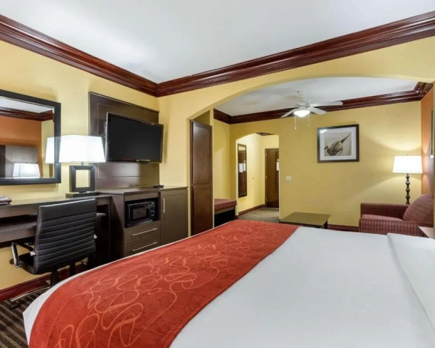 Suite
