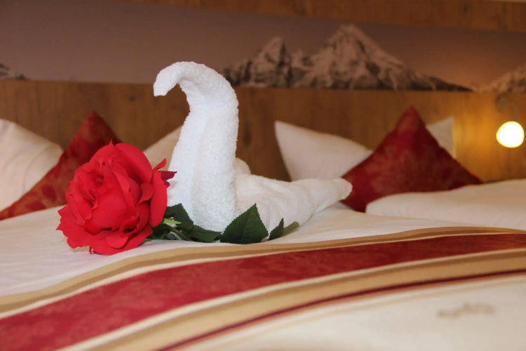 Hotel Alpina Ros Demming