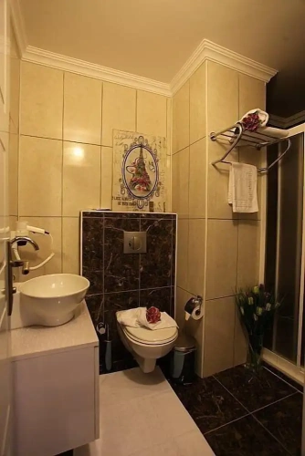 Standard Suite