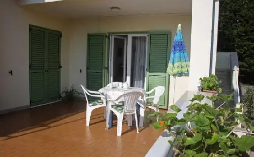Apartment Branka