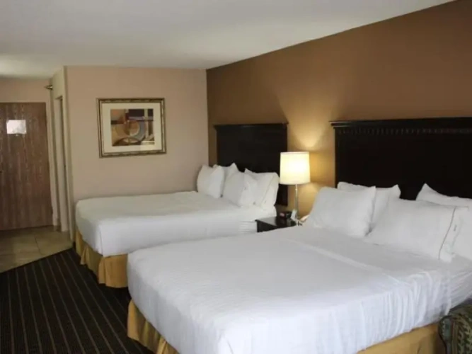 Quadruple Suite