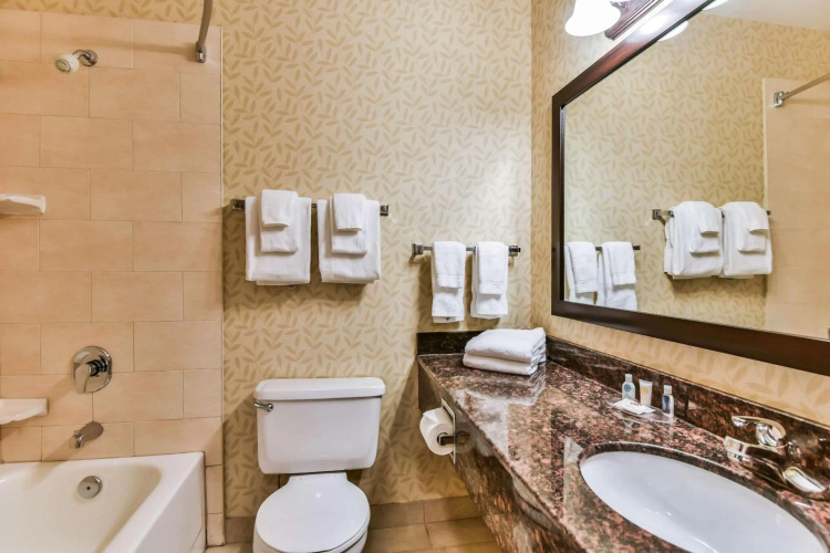 Comfort Inn & Suites Ambassador Bridge photo 10