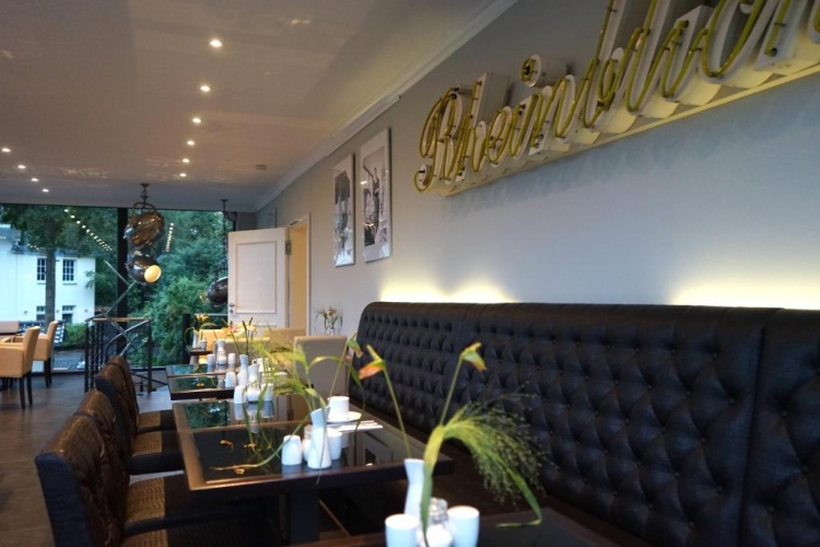Villahotel Rheinblick photo 13