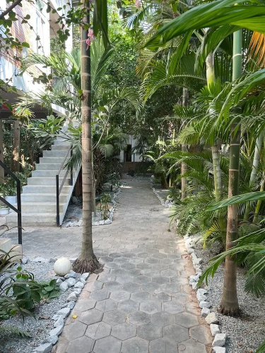 Treetop Bungalows