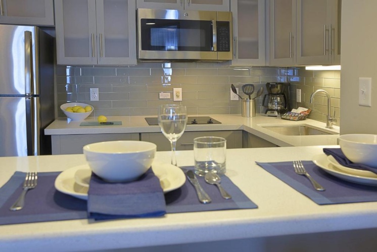 1 Bedroom Suite