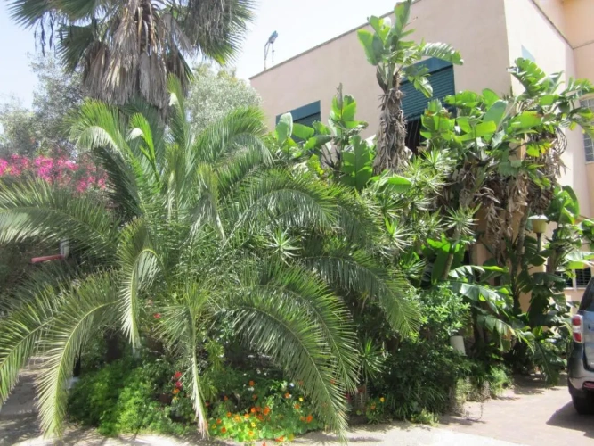 Apartment with garden view