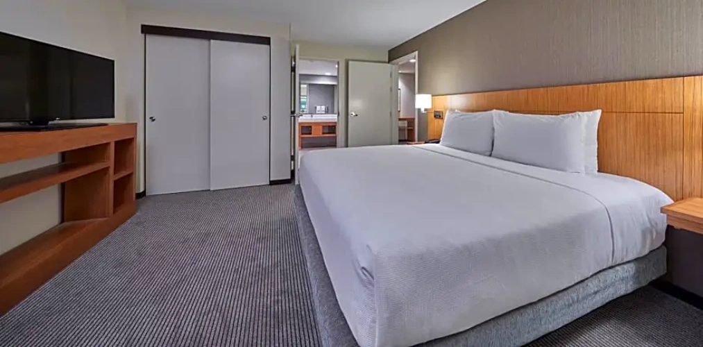 1 Bedroom Double Suite