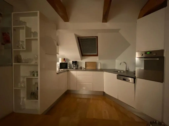 Deluxe Apartment with view