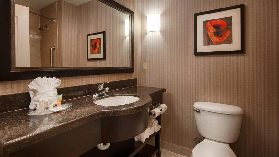 Best Western PLUS DFW Airport West Euless Over view