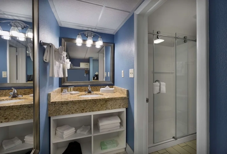 Standard Double room with balcony and with pool view