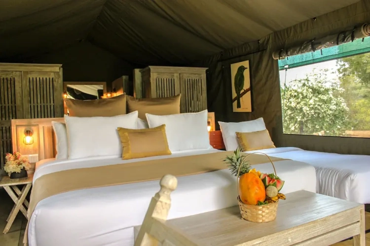 Deluxe Triple room