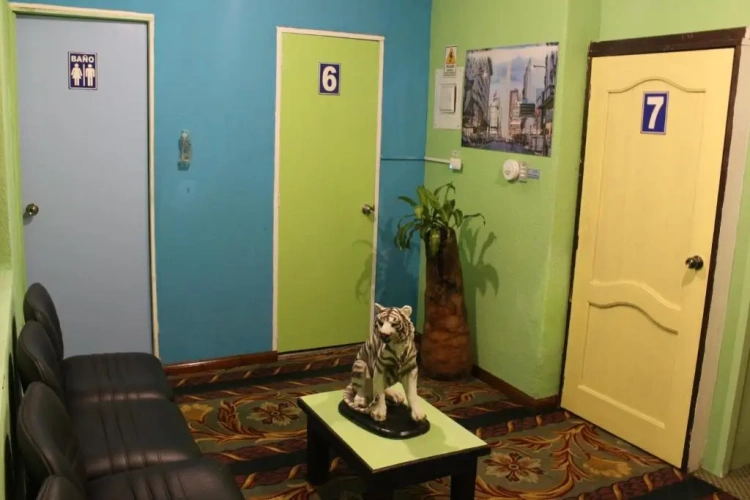 Standard Single room