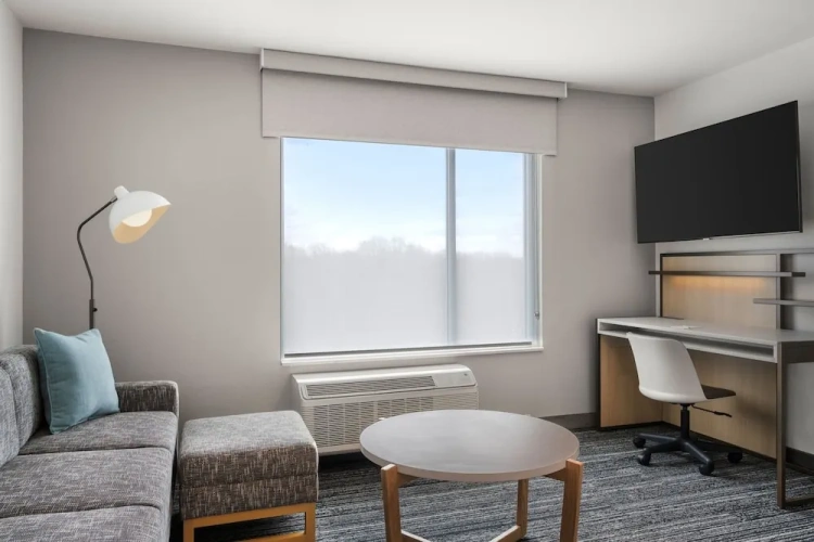 1 Bedroom Suite