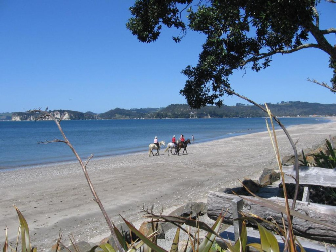 Beachfront Resort