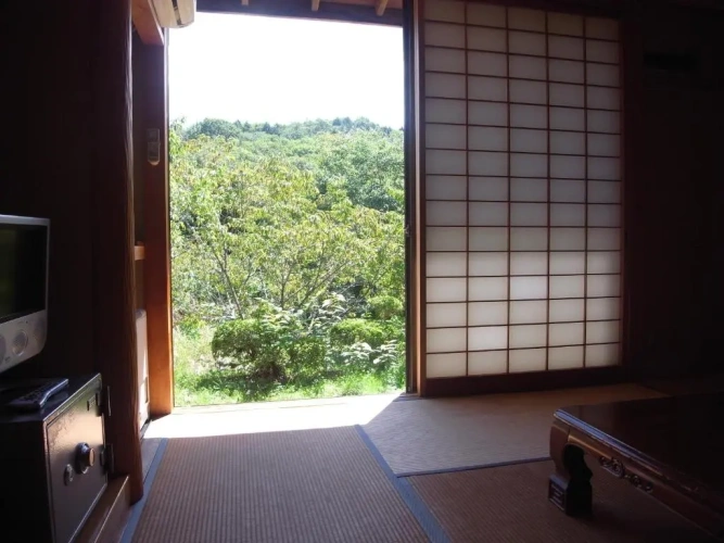 Standard room with view