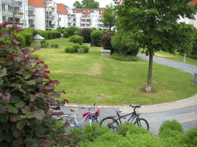 Kamelienweg Dresden in Dresden