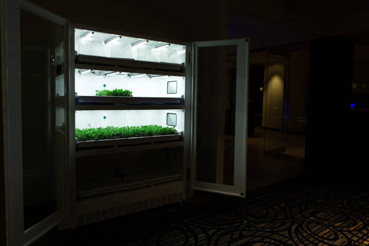 The Grand Winnipeg Airport Hotel photo 7