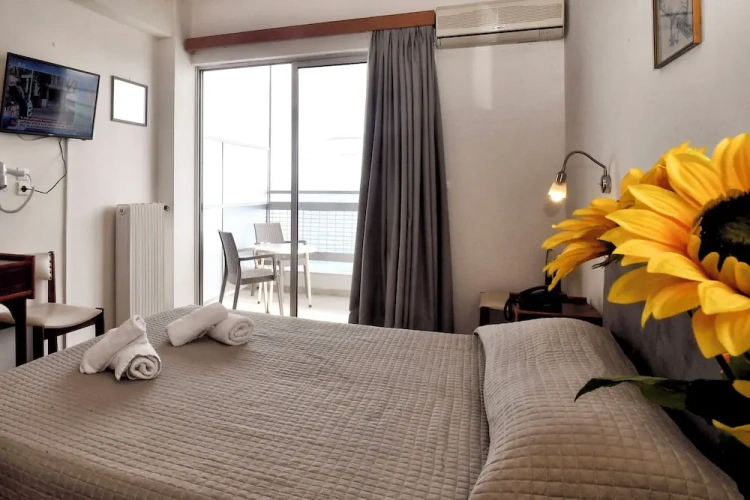 Standard Single room with balcony and with sea view