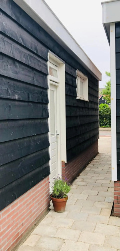 Zomeren Domburg