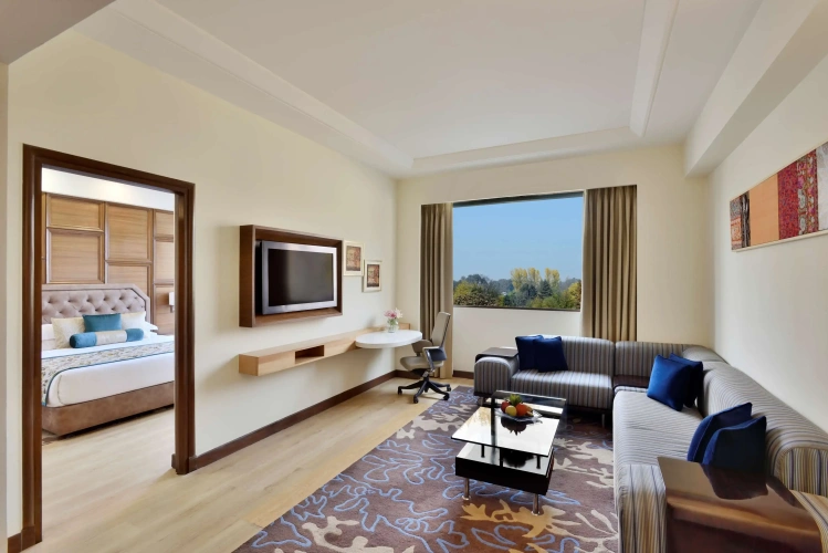 1 Bedroom Suite