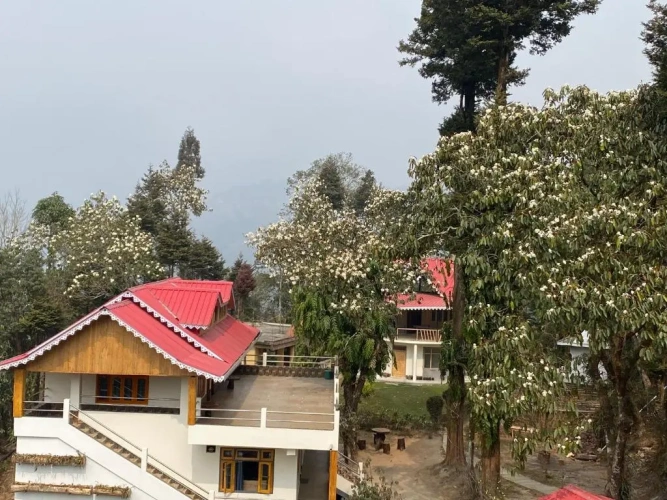 Standard Double room with mountain view