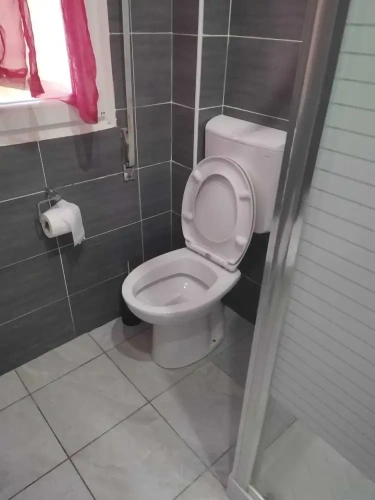 Business Double room with garden view