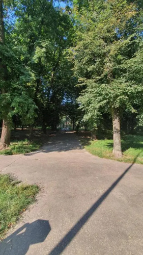 Apartament Park Saski