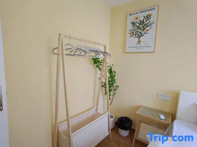 1 Bedroom Suite