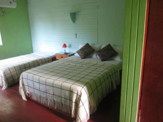 Hotel Flemming Tree