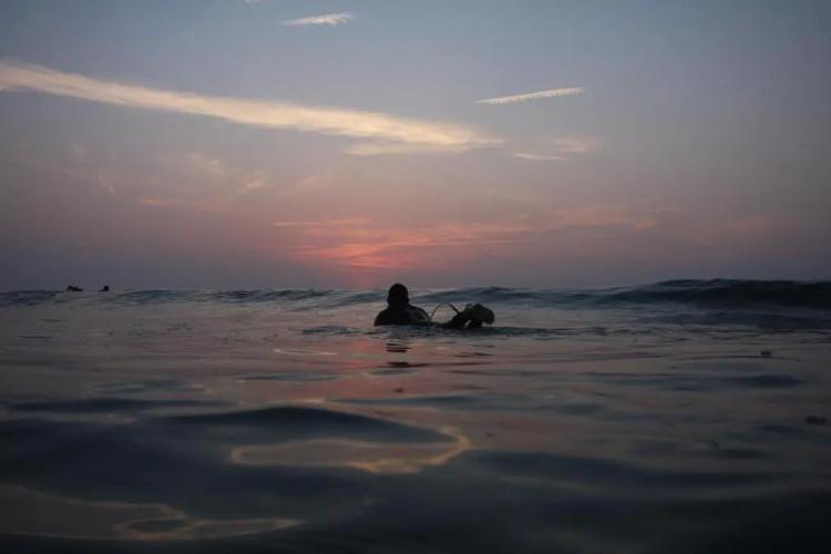 Seaweed Surf House