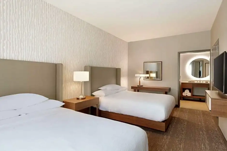 Standard Double Suite