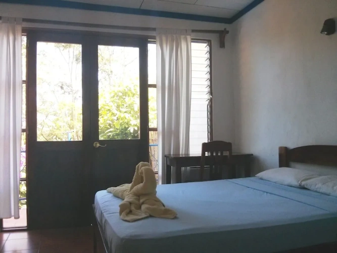 Standard Double room with balcony and with view