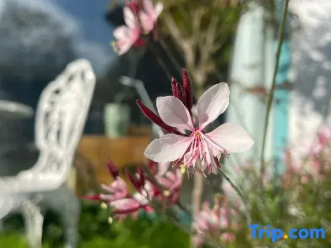 Naqu Theme Homestay