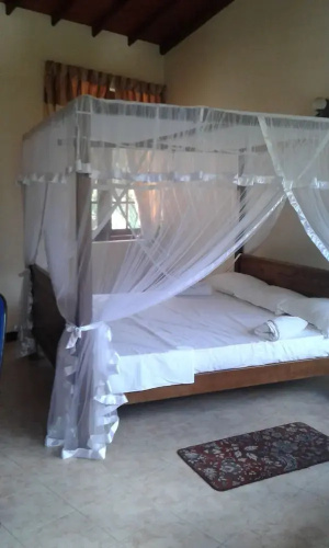 The Lotus Blue - Hostel