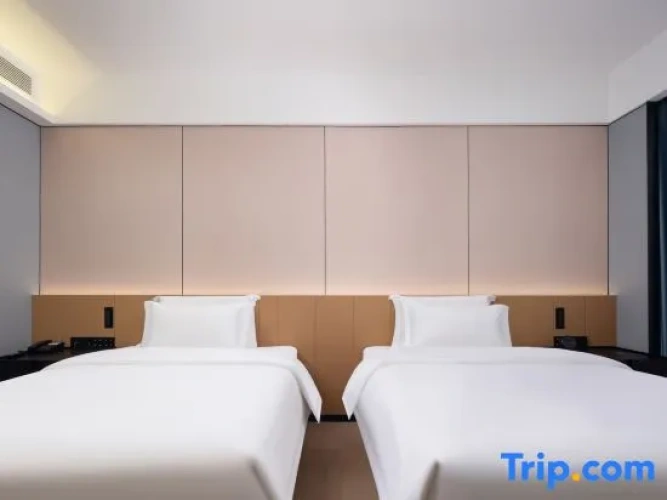 Deluxe Double room with city view