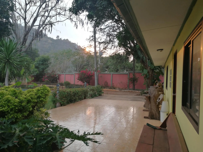 Eden Garden