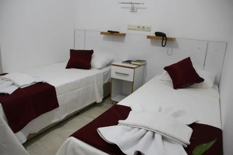 Standard Twin room with mountain view