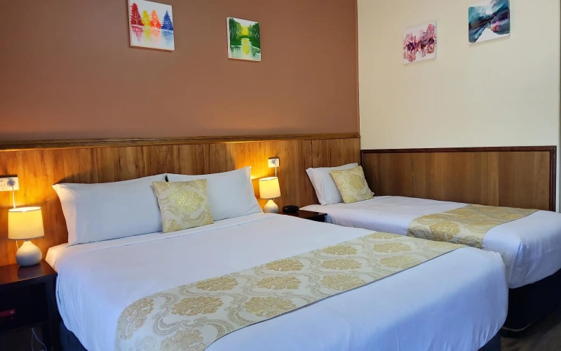 Standard Twin room