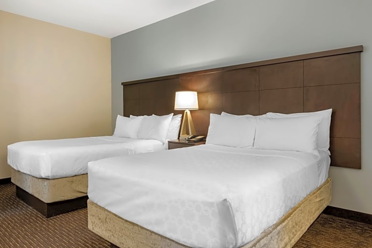 1 Bedroom Quadruple Suite