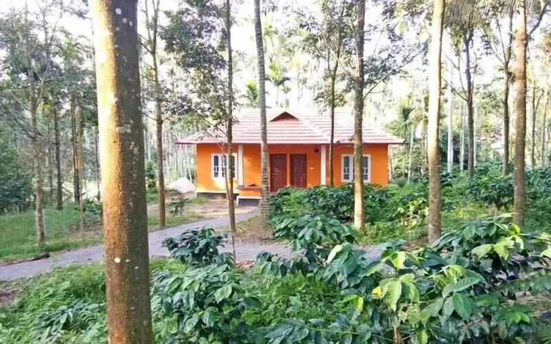 Outside