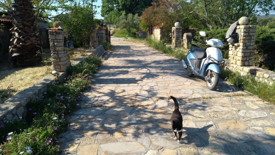 Anemon Ozdemir Bag Evi