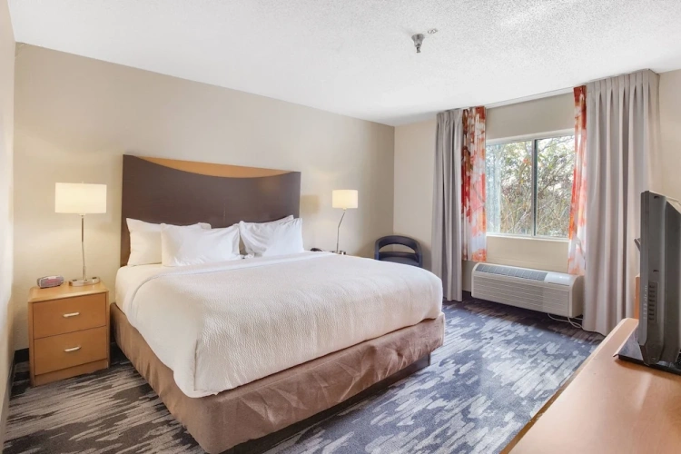 1 Bedroom Suite