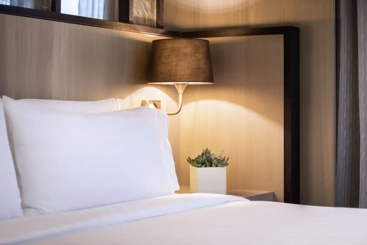 Executive Double Suite