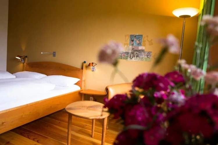 Standard Double room with garden view