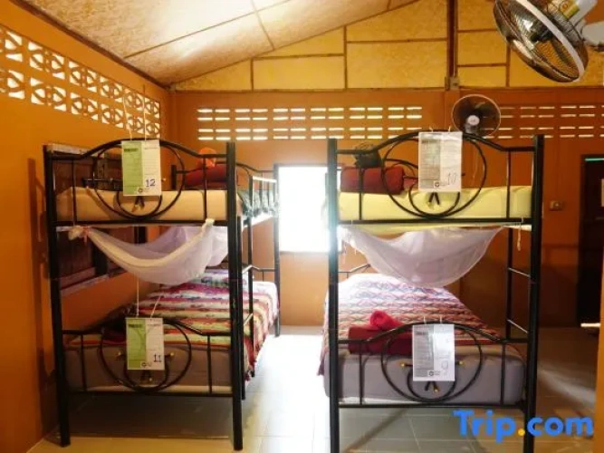 Bed in Dorm (male dorm)