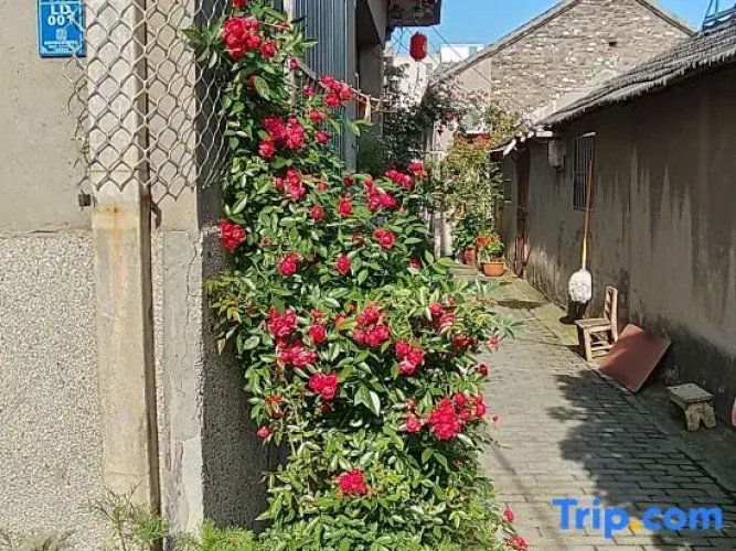 Yangzhou Guke Homestay